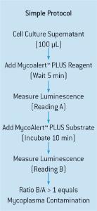 MycoAlert™ PLUS Assay Procedure Outline