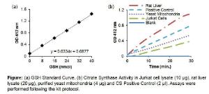 Citrate Synthase Activity Colorimetric Assay Kit, BioVision