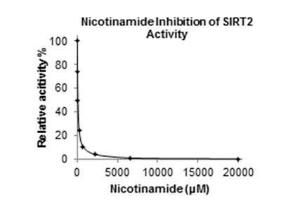 SIRT2 Inhibitor Screening Assay Kit (Fluorometric), BioVision