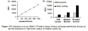 HDAC1 Immunoprecipitation (IP) and Activity Assay Kit, BioVision