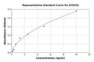 Representative standard curve for Mouse GGT1/GGT ELISA kit (A78152)