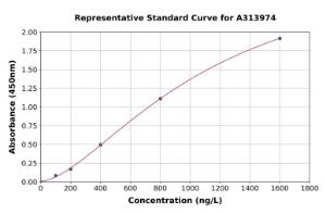 Representative standard curve for human BCAT2 ELISA kit (A313974)