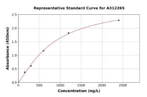 Representative standard curve for Mouse Ntn4 ELISA kit (A312265)