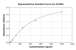 Representative standard curve for Mouse TIMP1 ELISA kit (A75901)