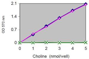 Choline/Acetylcholine Quantification Colorimetric/Fluorometric Kit, BioVision