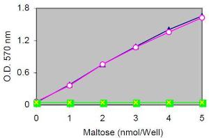 Maltose and Glucose Colorimetric/Fluorometric Assay Kit, BioVision