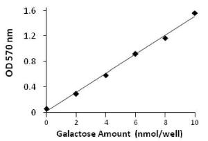 Galactose Colorimetric/Fluorometric Assay Kit, BioVision