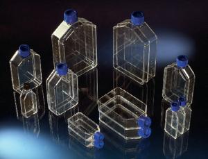 Nunc™ Cell Culture Flasks, Thermo Scientific