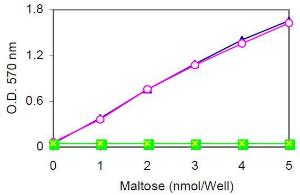 Maltose Colorimetric/Fluorometric Assay Kit, BioVision