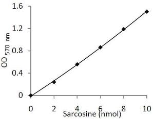 Sarcosine Colorimetric/Fluorometric Assay Kit, BioVision