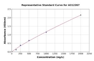 Representative standard curve for Human ULK2 ELISA kit (A312267)