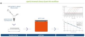 Complete library quantification solution with unmatched convenience