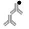 Anti-IgG Antibody (Biotin)