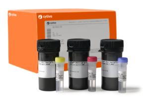 CyDye DIGE flour minimal dye labeling kit