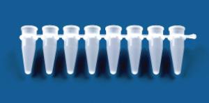 BRAND PCR 8 Strips Tubes, BrandTech®