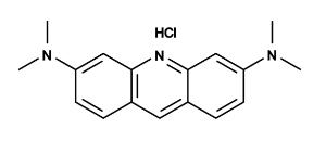 Acridine oran ge 17502 100 mg