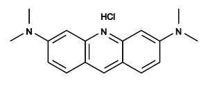 Acridine oran ge 17503 10 ml