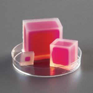 Ward's® Prepared Agar Cubes