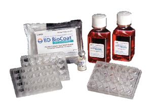 BioCoat™ HTS Caco-2 Assay Systems, PET Membrane, Corning