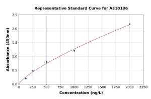 Representative standard curve for Human TNF Receptor II ELISA kit (A310136)