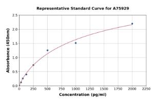 Representative standard curve for Human TWEAK ELISA kit (A75929)