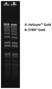 Helixyte/trade  gold 17595 1 ml