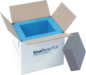 KoolTemp® Molded Polyurethane Containers, Cold Chain Technologies