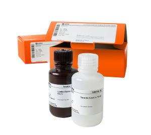 Amersham ecl prime western blotting detection reagent