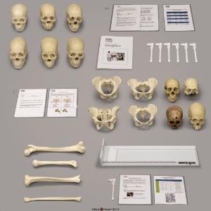 Forensic Anthropology Set