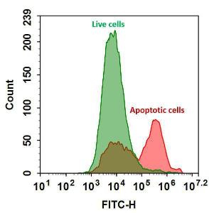 Annexin v fitc labe 20030