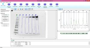 AzureSpot Analysis Software, Azure Biosystems