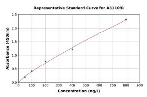 Representative standard curve for Human CCL25 ELISA kit (A311091)
