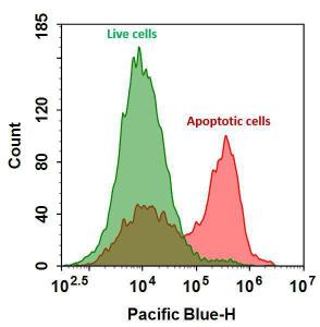 Annexin v-mfluor/tra 20080