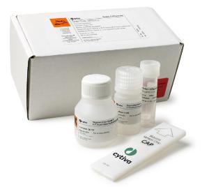 Biotin CAPture Kit, sufficient for 20 immobilisations and up to 600 regenerations