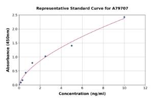 Representative standard curve for Rat Secretory IgA ELISA kit (A79707)