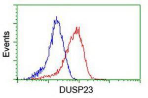 Anti-DUSP23 Mouse Monoclonal Antibody [clone: 3C10]