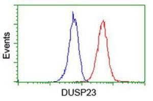 Anti-DUSP23 Mouse Monoclonal Antibody [clone: 3C10]