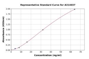 Representative standard curve for human Fatty Acid Synthase ELISA kit (A314037)