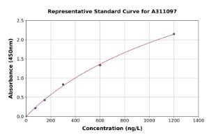 Representative standard curve for Mouse LOXL2 ELISA kit (A311097)