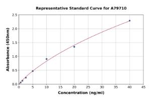 Representative standard curve for Rat Smad2 ELISA kit (A79710)
