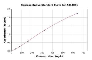 Representative standard curve for human Glutamine Synthetase ELISA kit (A314061)