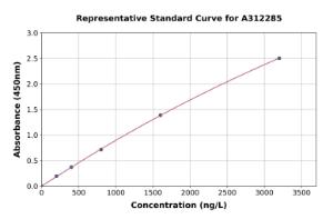 Representative standard curve for Mouse LEF1 ELISA kit (A312285)