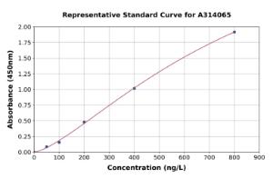 Representative standard curve for human FGF20 ELISA kit (A314065)