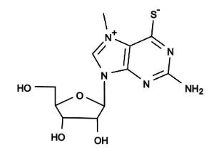 Mes g 21600 5 mg