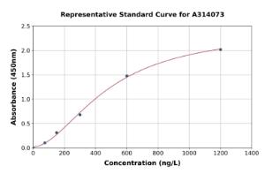 Representative standard curve for mouse Fetub ELISA kit (A314073)