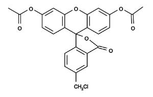 Cytotrace/trade  gre 22017 1 mg