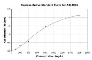 Representative standard curve for human KCC2 ELISA kit (A314076)