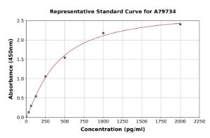 Representative standard curve for Rat TARC/CCL17 ELISA kit (A79734)