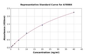 Representative standard curve for Human A1BG ELISA kit (A78984)