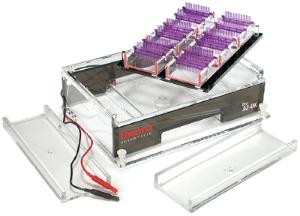 Owl™ Multiple Gel Electrophoresis System, Model A2, Thermo Scientific